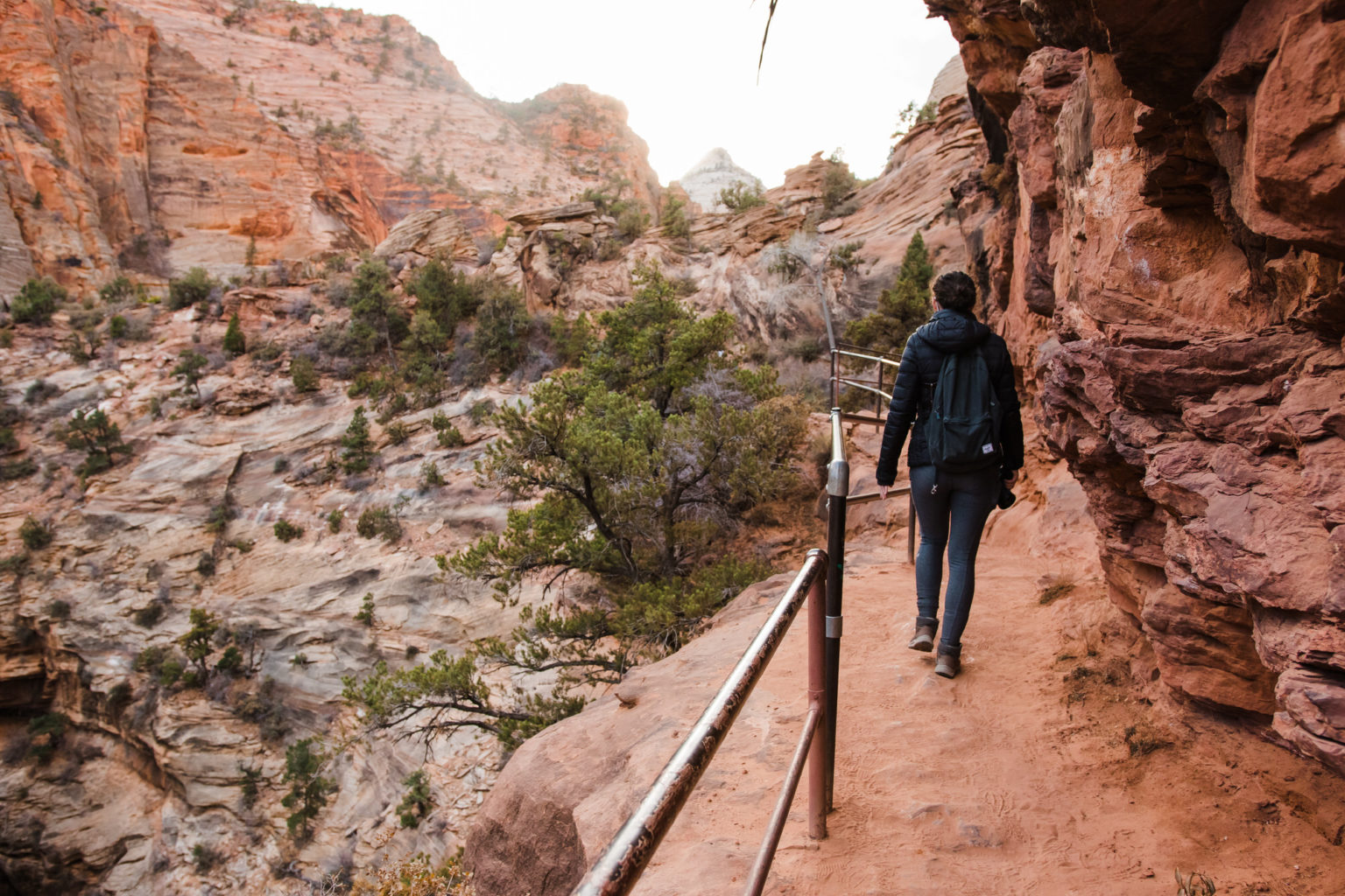 Scouts Lookout and Zion Canyon Overlook overlandelopements.co