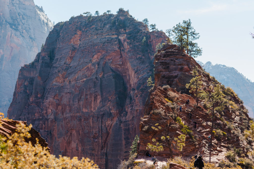 The final stretch of Angels Landing at Zion National Park