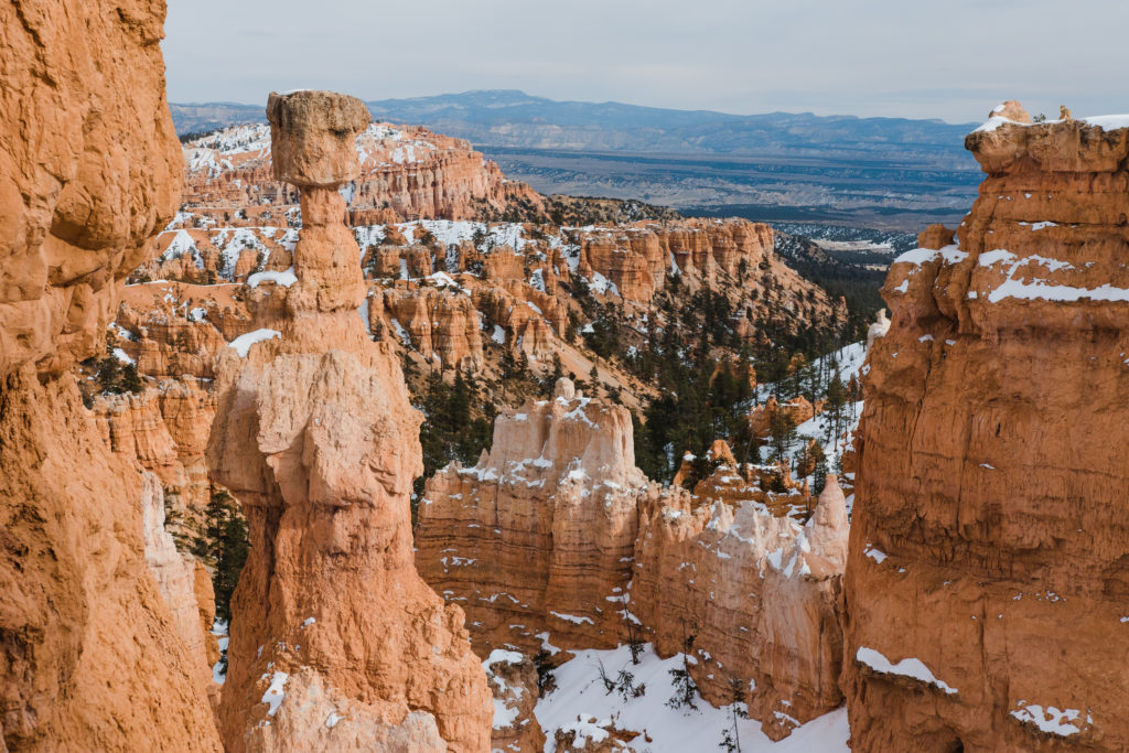 An elopement location at Bryce Canyon near Sunset point.