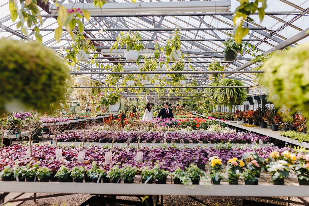A couple in wedding attire walks through a large plant nursery