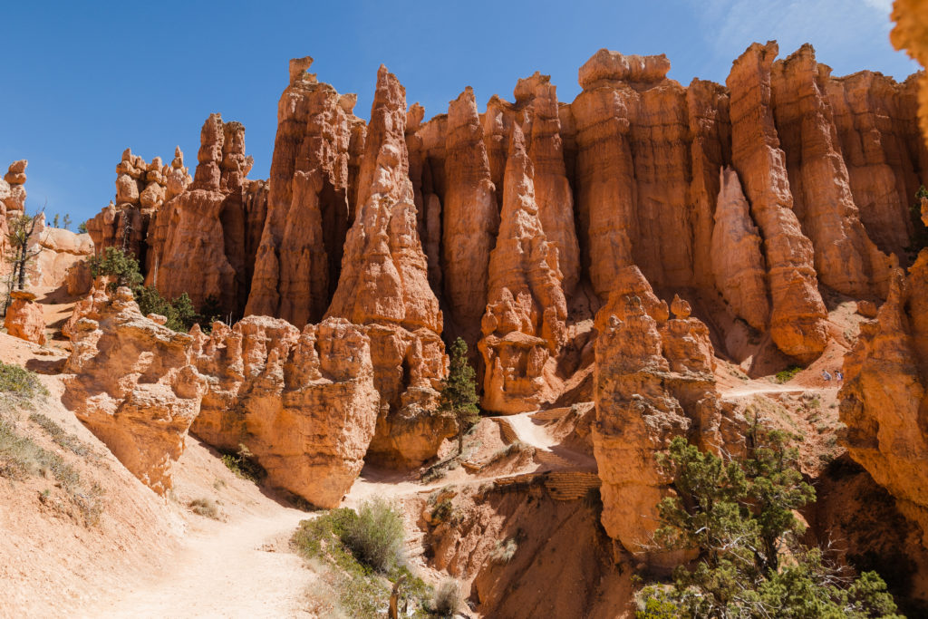 A section of the Queens Garden Trail surrounded by tall orange Hoodoos within Bryce Canyon National Park