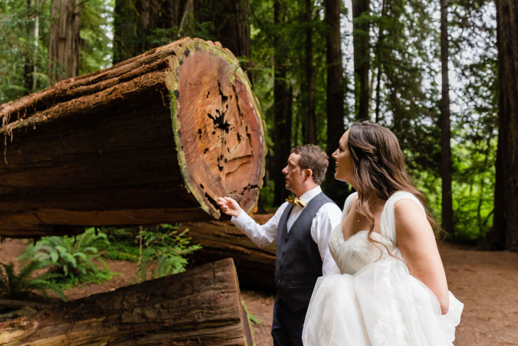 redwoods elopement couple