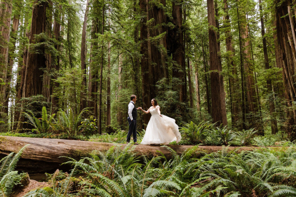 redwoods grove elopement