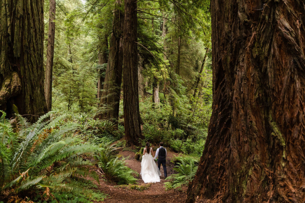 redwoods np elopement