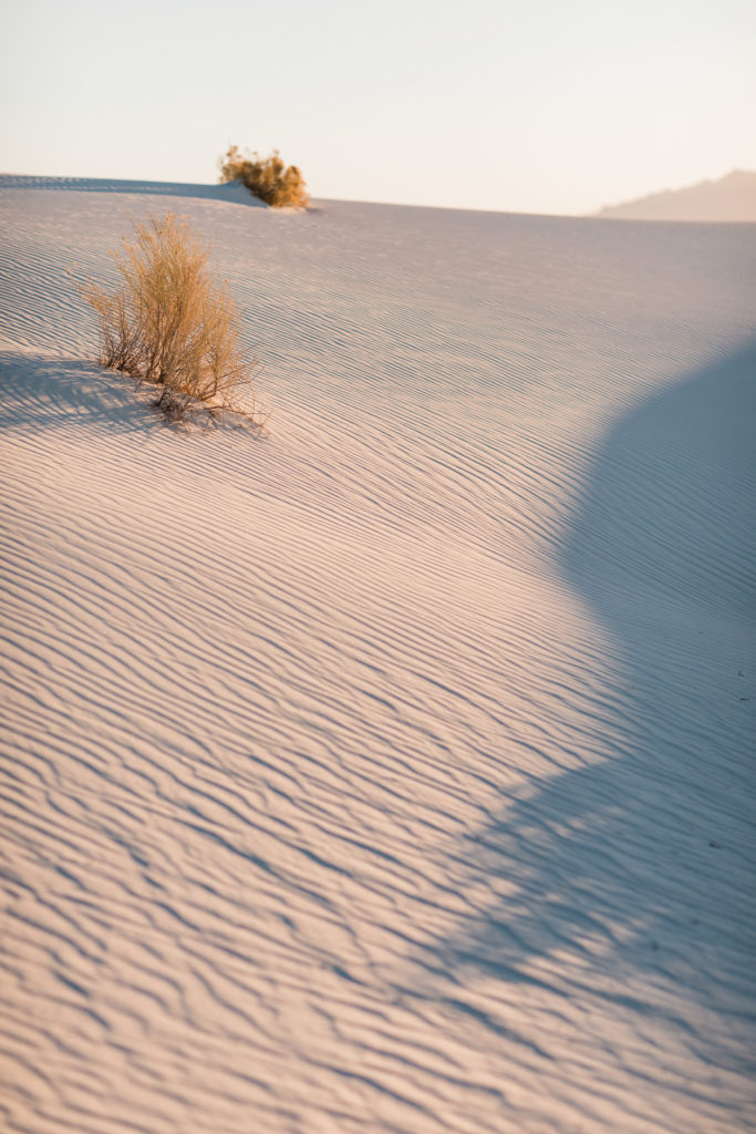 White sand dunes with sparse vegetation