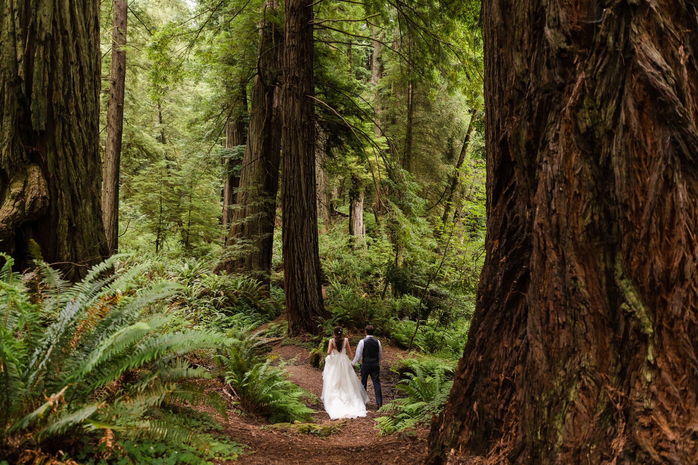 A couple in wedding attire walking through a beautiful redwoods grove on their elopement day.